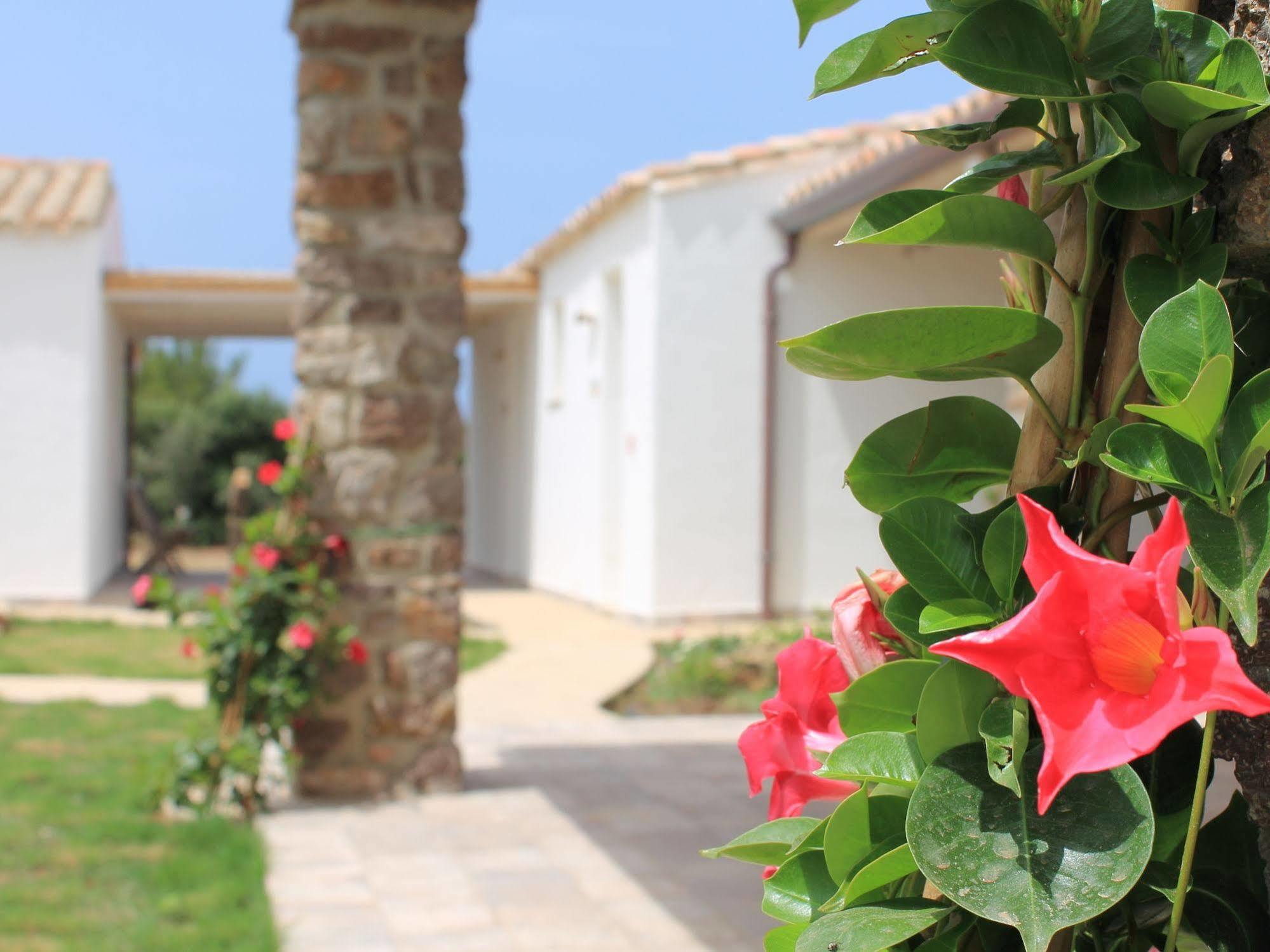Villa Oasi Blu Calasetta Exterior foto